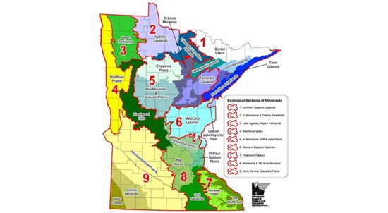 Map of Minnesota showing the 9 Ecological Sections across the state.