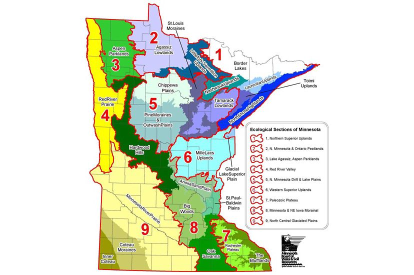 a map of minnesota's ecological sections.