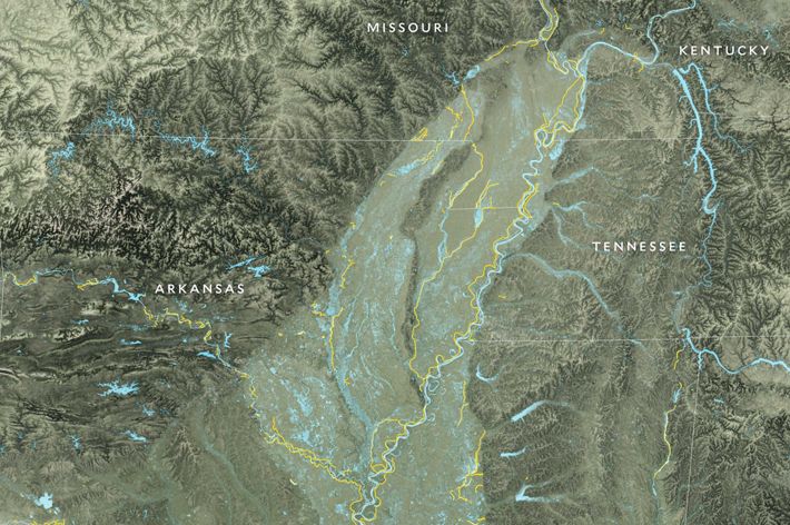 Map of the Mississippi Delta extending from Missouri and Kentucky, through Arkansas, Tennessee, Mississippi and Louisiana, showing the frequency of flooding in blue.