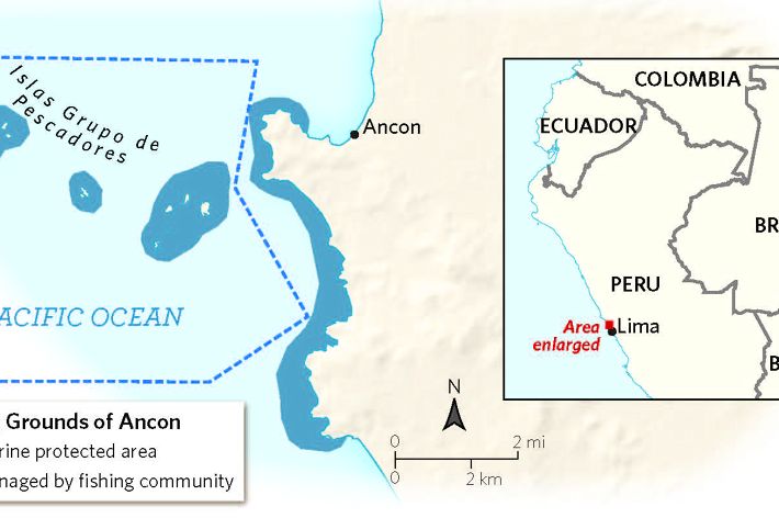 a map shows the tip of South Florida and the Keys, with dots marking coral nurseries