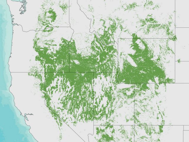 Map with green areas that designate the sagebrush sea, which expands across the Dakotas to California.