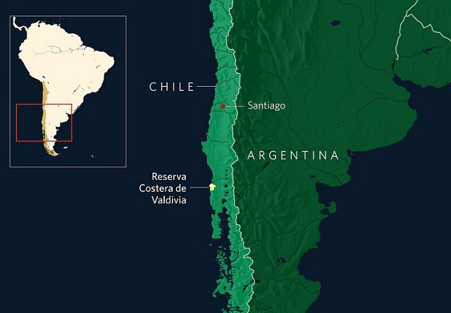 a map showing the country of chile with a marker indicating Santiago and the Valdivian Coastal Reserve