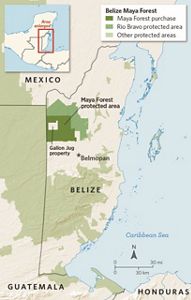 A map of the protected area in the Belize Maya Forest.
