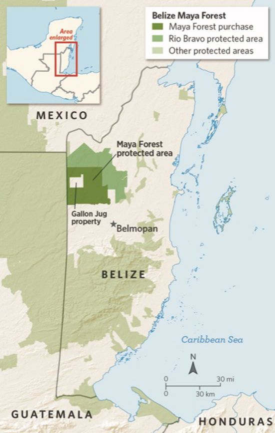 A map of the protected area in the Belize Maya Forest.