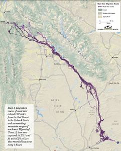 Map showing migration of mule deer. 