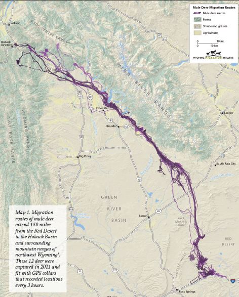 Map showing migration of mule deer.