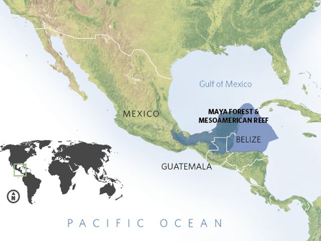 hold the second largest tropical forest of the Americas; the longest underground river system on the planet, the second largest reef system in the world, and is a bedrock of cultural heritage from the great Mayan civilization.
