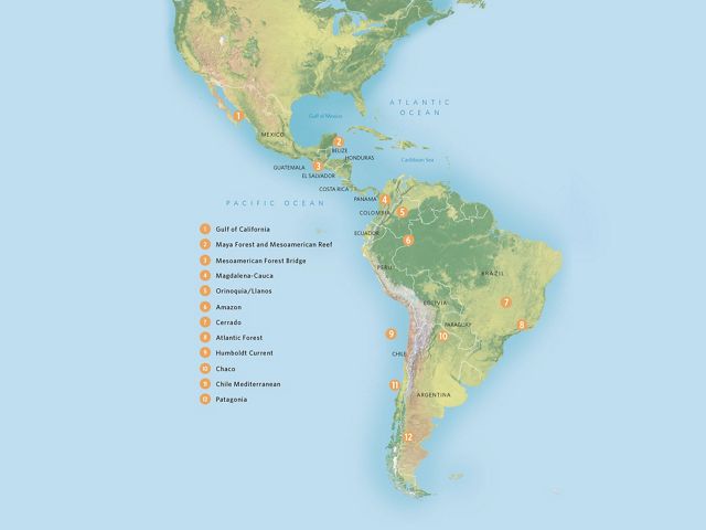 Latin America