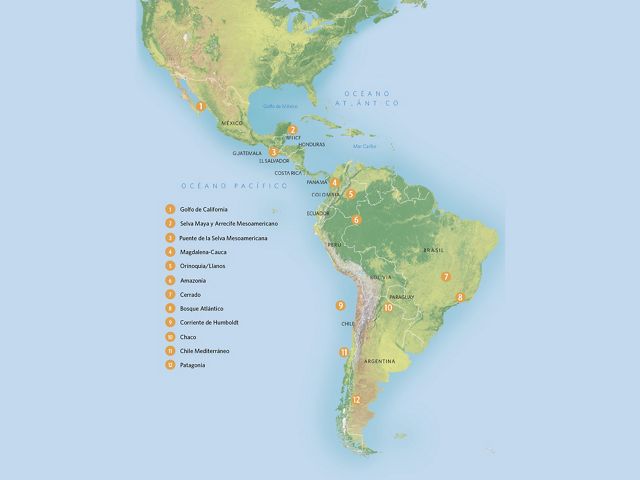Protegemos 12 Paisajes Icónicos, que albergan increíbles recursos naturales, económicos y culturales y ecosistemas imprescindibles en los que nuestro trabajo está aportando un triple beneficio para la biodiversidad, las personas y el clima.