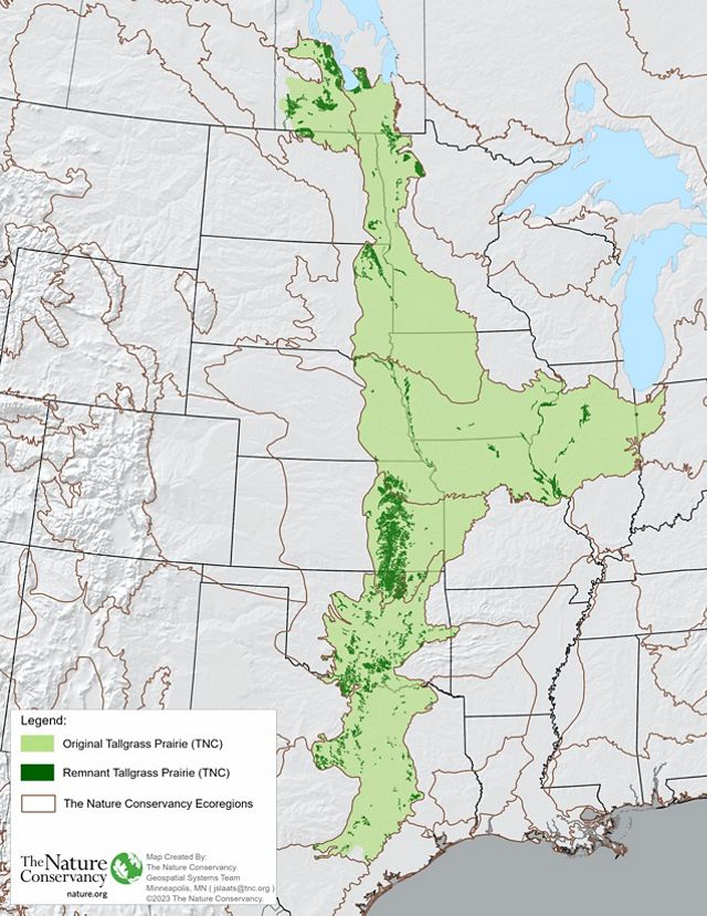 A map showing the interior area of North America with light green shading representing original range of tallgrass prairie and dark green shading representing was remains today.