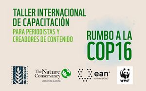 Imagen promocional de taller de capacitación con los logos de las instituciones.