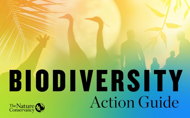 Biodiversity Action Guide