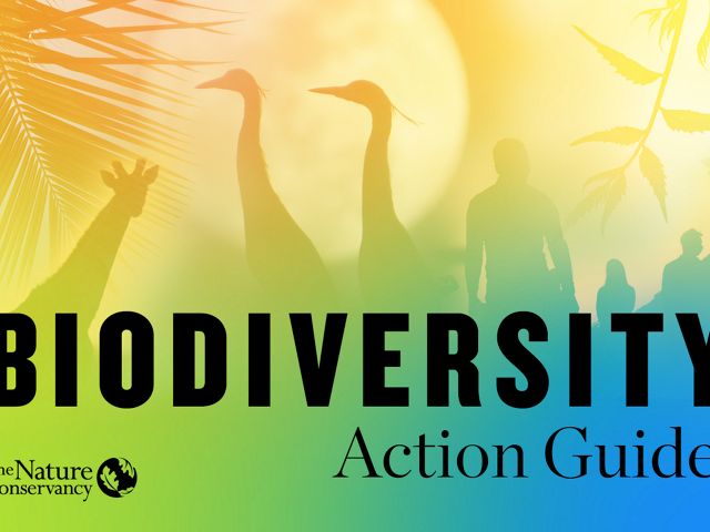 Biodiversity Action Guide
