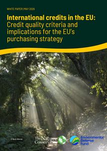 Cover of International Credits in the EU report.