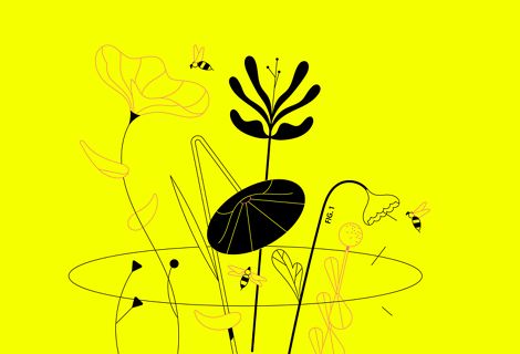 Recuadro amarillo de una animación de flores dibujadas
