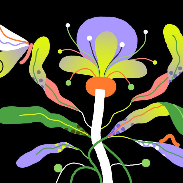 A graphic using bright neon colors of a butterfly resting on a flower.
