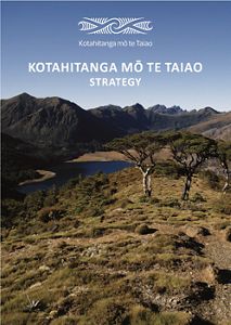 Cover of KMTT strategy report.