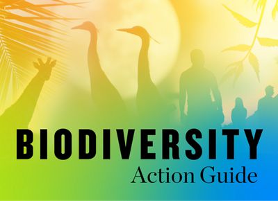 A collage of silhouetted animal, plant and people photos with a gradient overlay of green, orange, and yellow.
