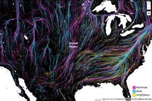 Migrations in Motion Screenshot