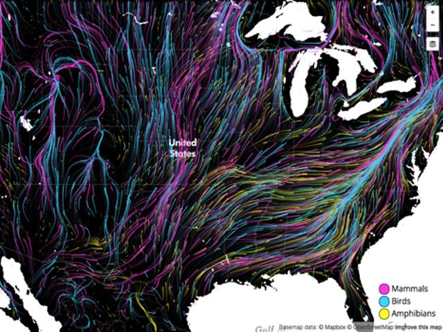 Migrations in Motion Screenshot