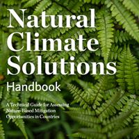 Graphical cover for natural climate solutions handbook.