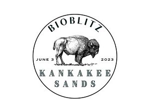 Logo for BioBlitz at Kankakee Sands featuring a bison.
