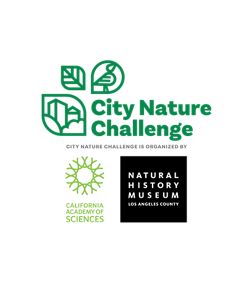 The City Nature Challenge, California Academy of Sciences, and Natural History Museum of Los Angeles County logos