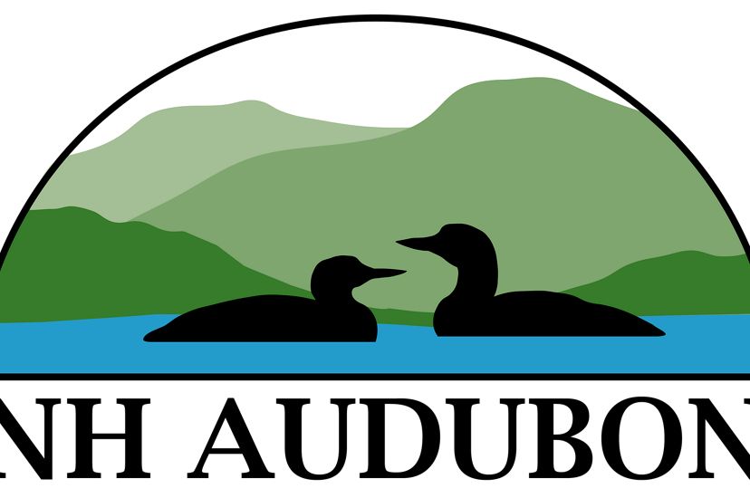 Logo for New Hampshire Audubon.