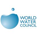 world water council logo
