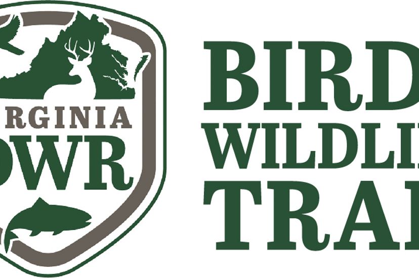 Shield logo of the Virginia Deparment of Wildlife Resources showing outlines of a deer, bird in flight and jumping fish. Text next to the shield reads Bird & Wildlife Trail.