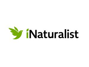 iNaturalist logo.