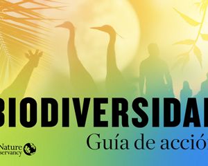 Portada del informe de la guía