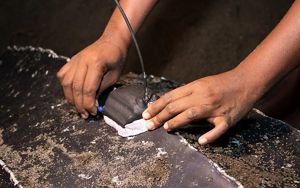 Lynette Haehathe checks to make sure the satellite tag is secure