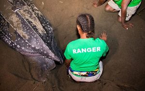 Back of a woman wearing a shirt that says "ranger" crouching in the sand.