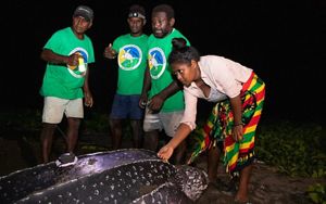 Jessica Haraputti measures the turtle’s carapace. 