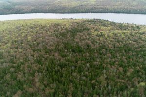Aerial view of St. John River and surrounding forest.