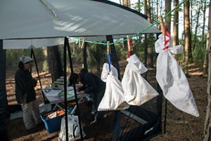 Three white cloth sacks hang pinned from a line. In the background under an open sided tent two women record observations for a bird banding study.