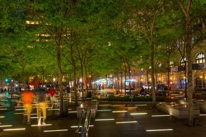 View of tree-lined city park at night.