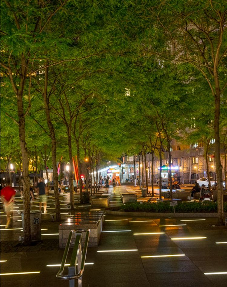 Vista nocturna de un parque urbano arbolado.