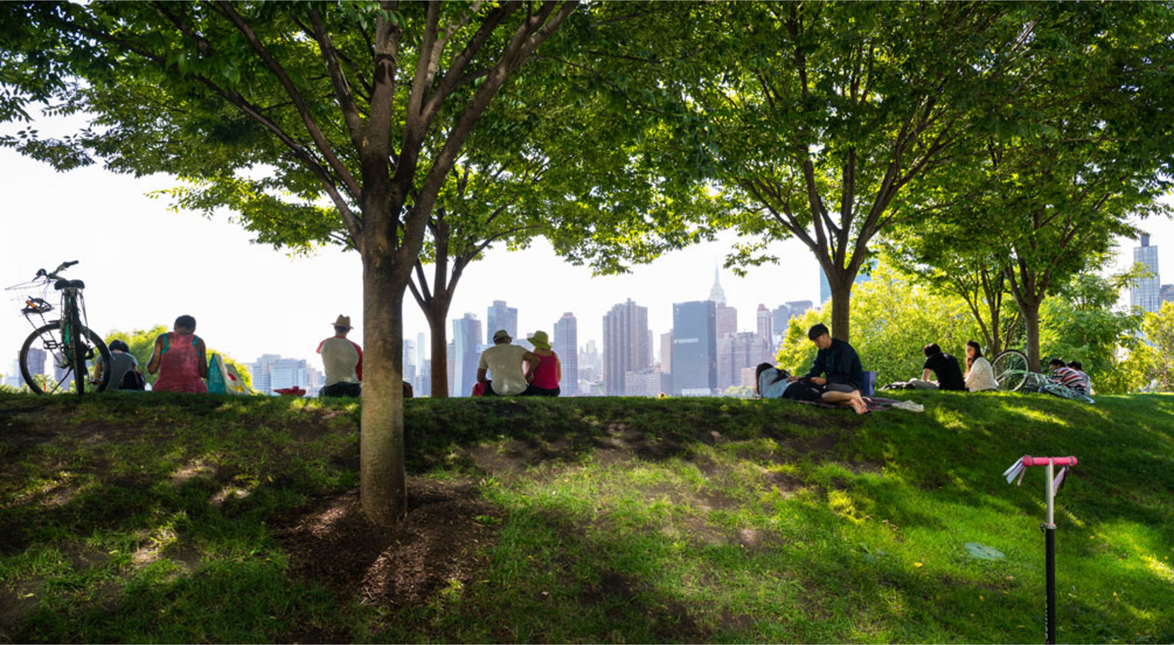 Several people sit on a grassy hill under the shade of large trees. The New York City skyline is in the distance.