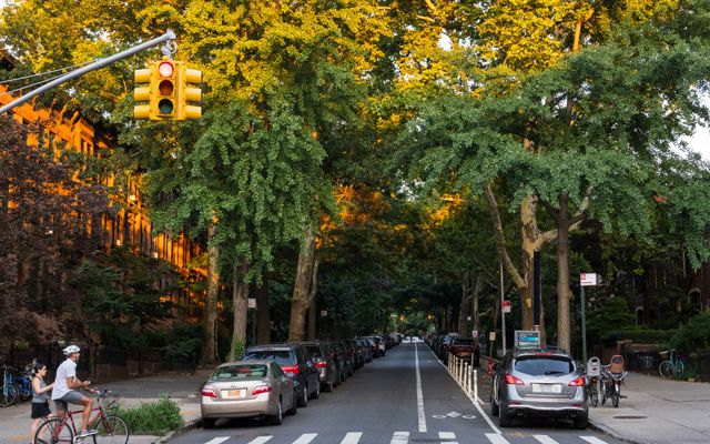 Una calle sombreada en Park Slope, Brooklyn, Nueva York, bordeada de muchos árboles altos.