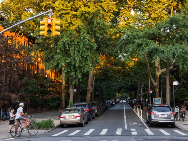 A shaded street in Park Slope, Brooklyn, New York City, lined with many tall trees.