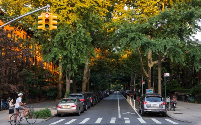 A view down an urban street lined with trees on either side.
