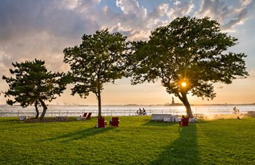 Trees lining the Upper NY Bay as sunsets