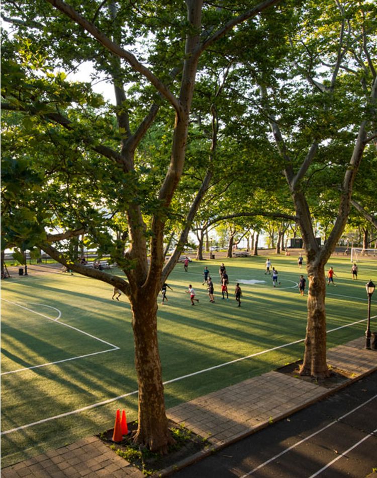 Vista de un campo de fútbol arbolado en un parque.