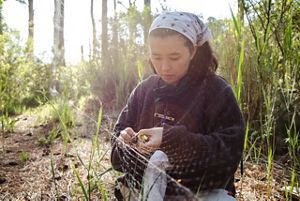 A woman kneels on the ground gently freeing a small bird from a long thin net that has been strung between trees to catch birds for a banding project.