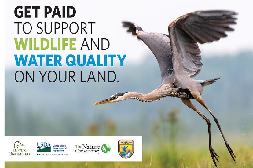 Outreach brochure showing a blue heron in flight with the words Get paid to support wildlife and water quality on your land with the logos of participating sponsors at the bottom.