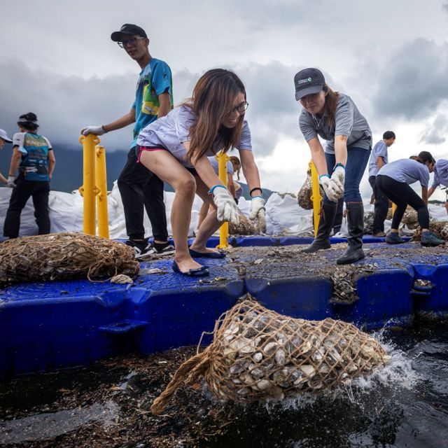 TNC staff and volunteers put recycled oyster shells into the bay to promote oyster reef growth in Hong Kong. 