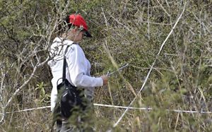 Imagen muestra una persona investigadora estudiando el bosque en el Gran Chaco. 