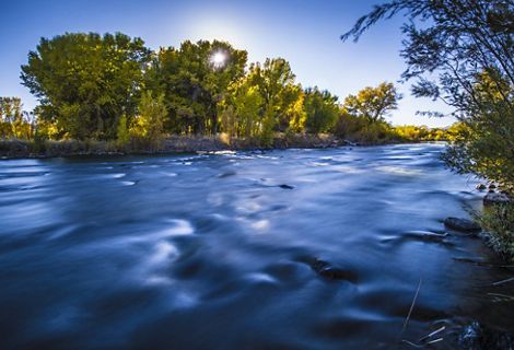 Rushing water in a river with trees along the riverbank in the background.